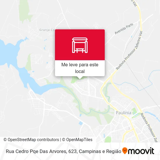 Rua Cedro Pqe Das Arvores, 623 mapa
