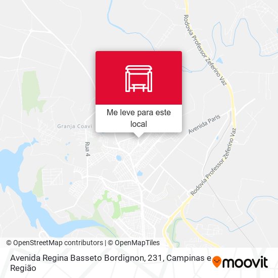 Avenida Regina Basseto Bordignon, 231 mapa