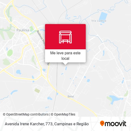 Avenida Irene Karcher, 773 mapa