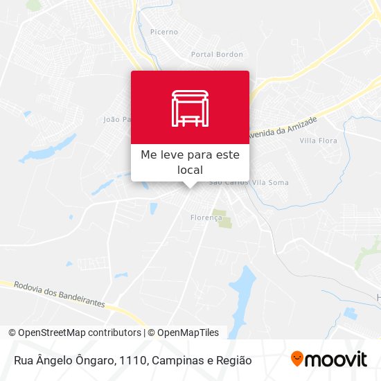Rua Ângelo Ôngaro, 1110 mapa