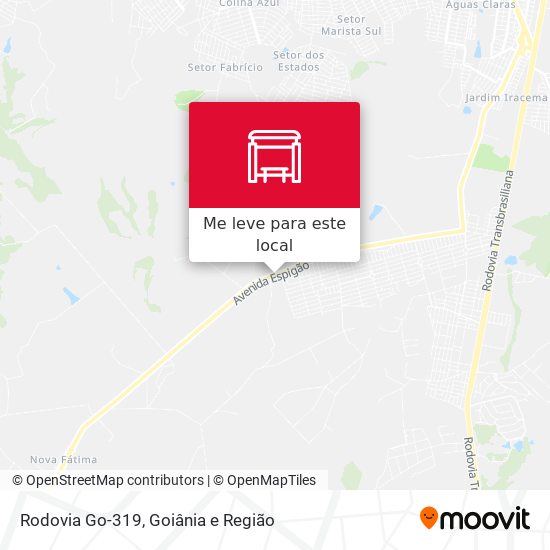 Rodovia Go-319 mapa