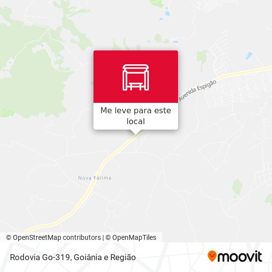 Rodovia Go-319 mapa