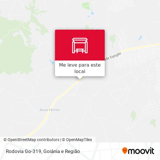 Rodovia Go-319 mapa