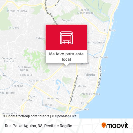 Rua Peixe Agulha, 38 mapa