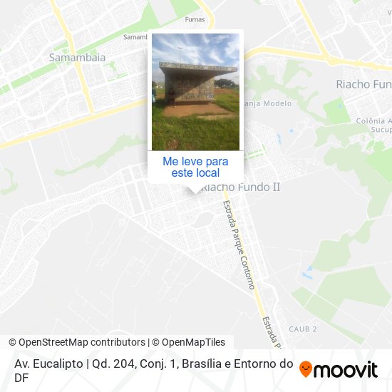 Av. Eucalipto | Qd. 204, Conj. 1 mapa