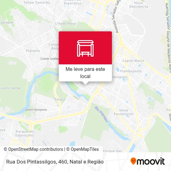 Rua Dos Pintassilgos, 460 mapa