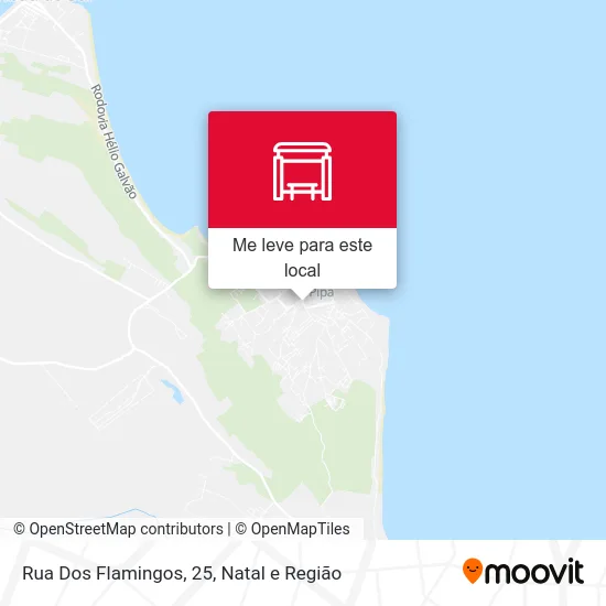 Rua Dos Flamingos, 25 mapa