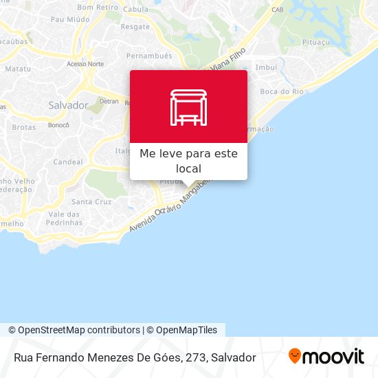 Rua Fernando Menezes De Góes, 273 mapa