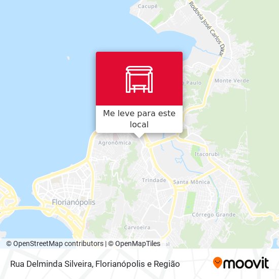 Rua Delminda Silveira mapa