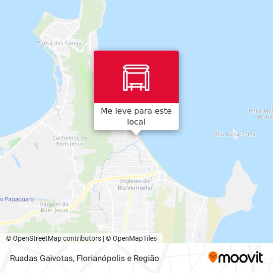 Ruadas Gaivotas mapa