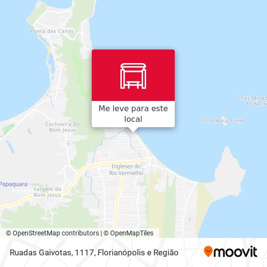 Ruadas Gaivotas, 1117 mapa