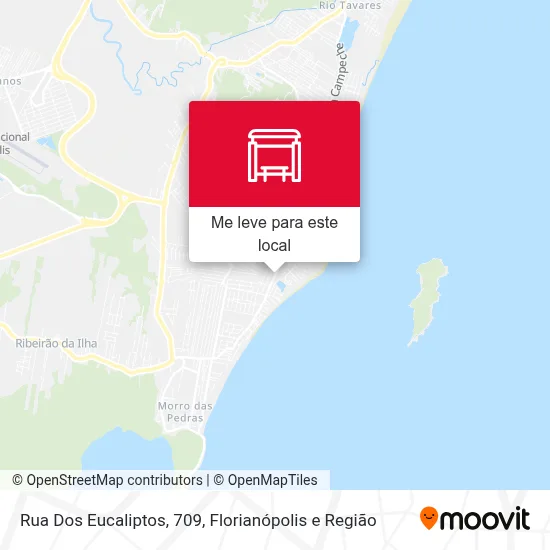 Rua Dos Eucaliptos, 709 mapa
