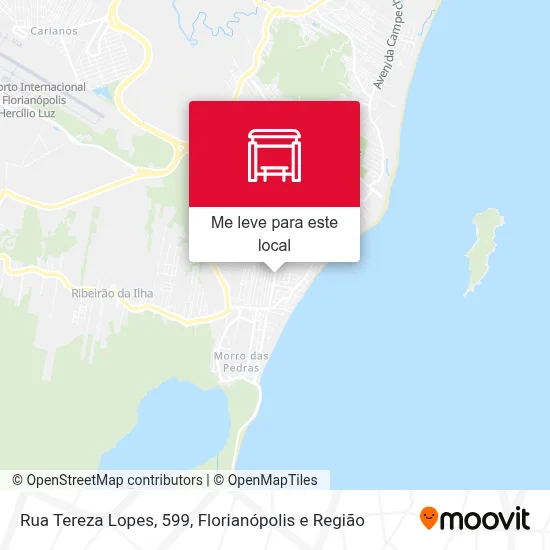 Rua Tereza Lopes, 599 mapa