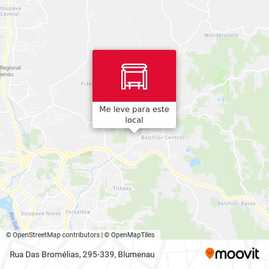 Rua Das Bromélias, 295-339 mapa