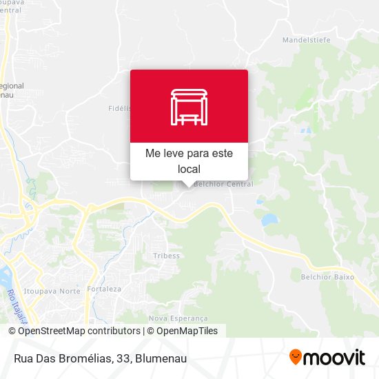 Rua Das Bromélias, 33 mapa