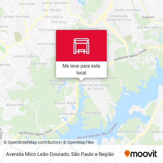 Avenida Mico Leão-Dourado mapa