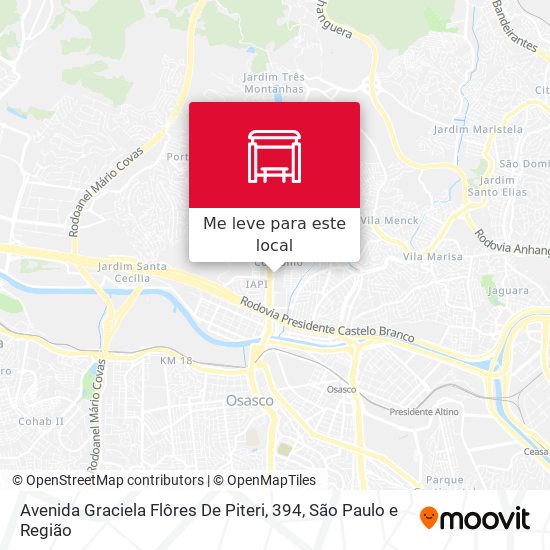 Avenida Graciela Flôres De Piteri, 394 mapa