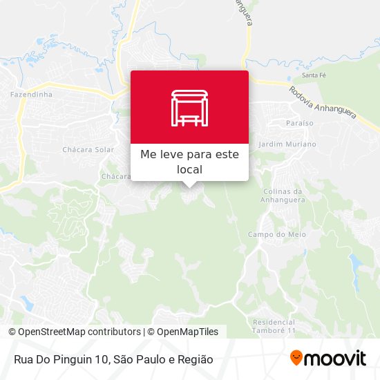 Rua Do Pinguin 10 mapa