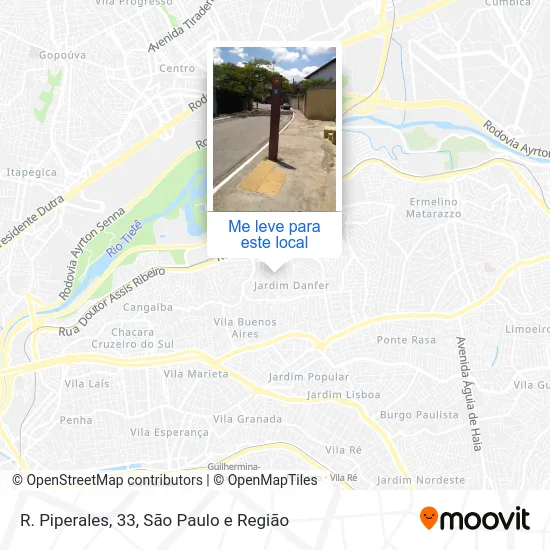R. Piperales, 33 mapa