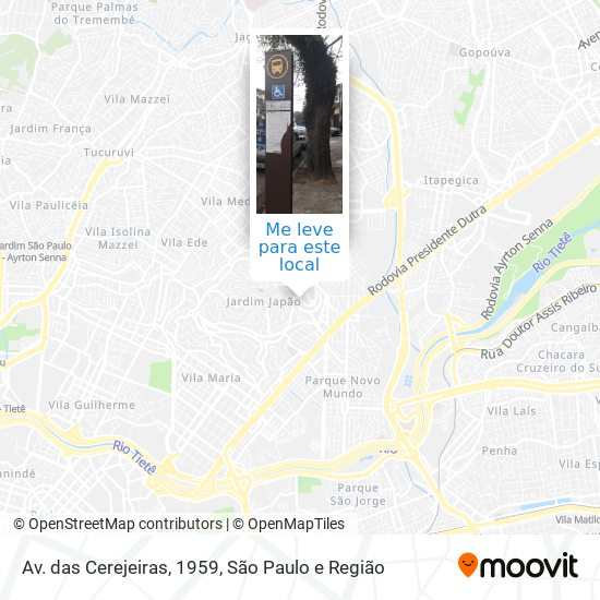 Av. das Cerejeiras, 1959 mapa