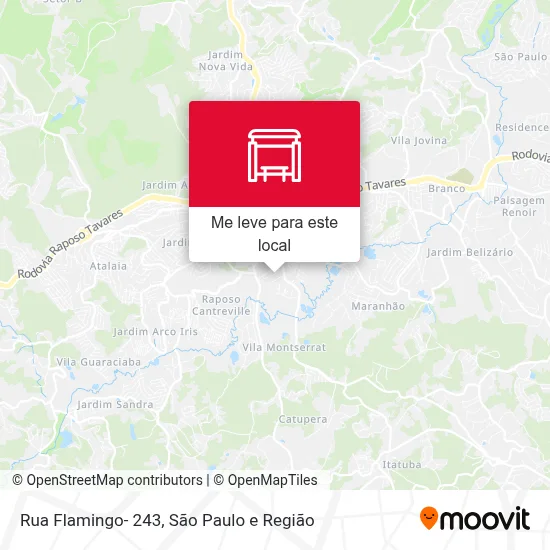 Rua Flamingo- 243 mapa