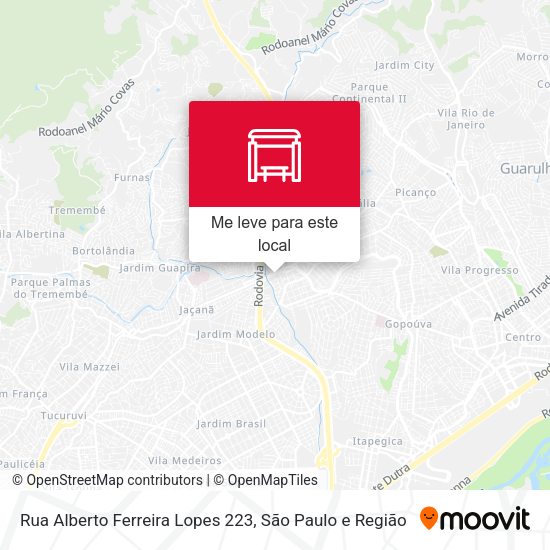 Rua Alberto Ferreira Lopes 223 mapa