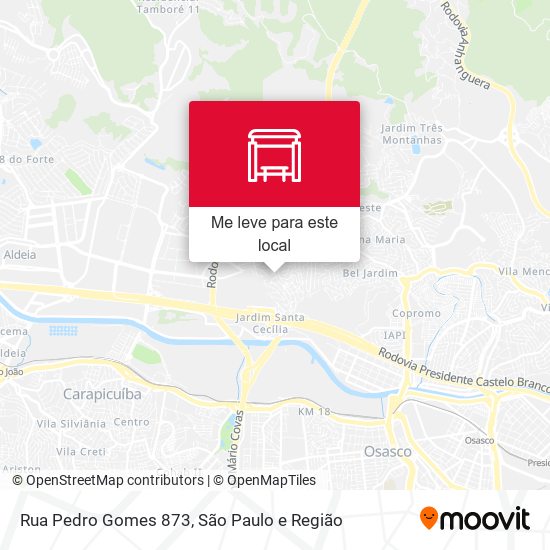 Rua Pedro Gomes 873 mapa
