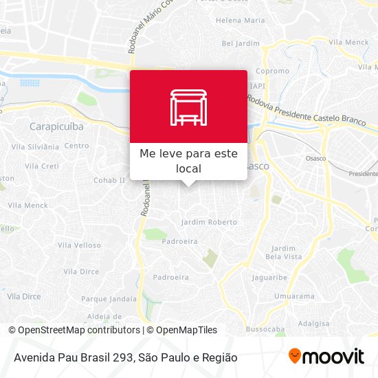 Avenida Pau Brasil 293 mapa