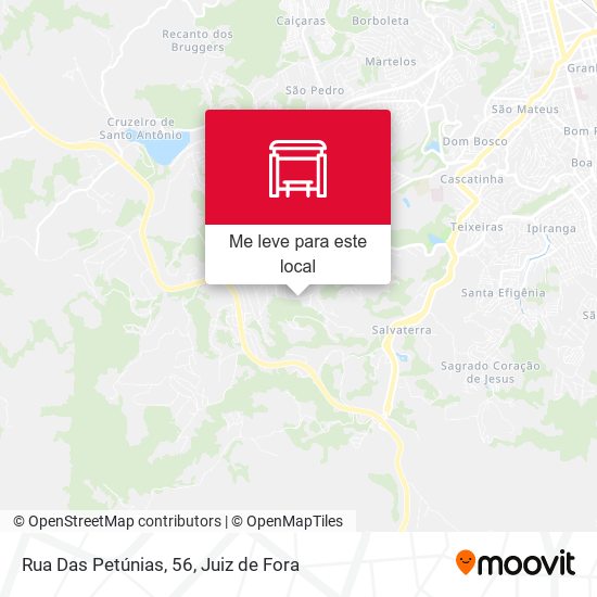 Rua Das Petúnias, 56 mapa