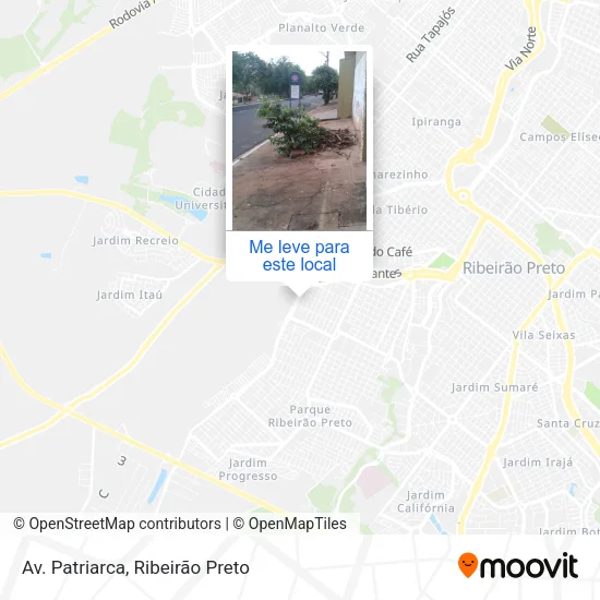 Av. Patriarca mapa