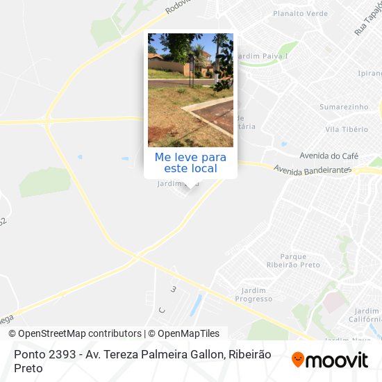 Ponto 2393 - Av. Tereza Palmeira Gallon mapa