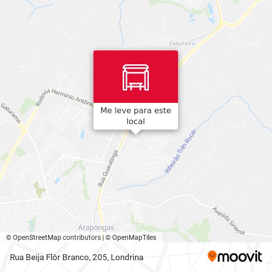 Rua Beija Flôr Branco, 205 mapa