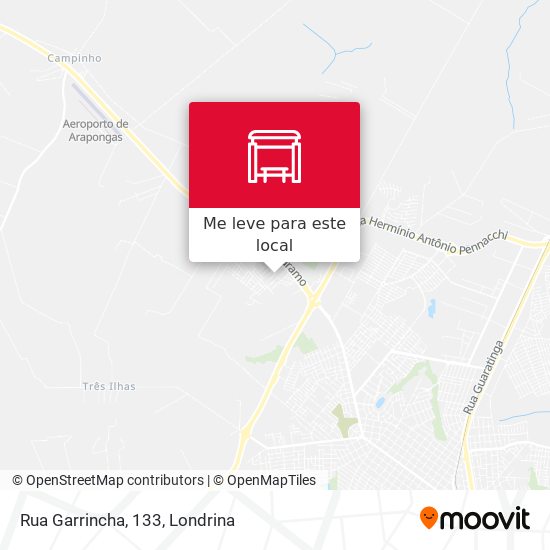 Rua Garrincha, 133 mapa