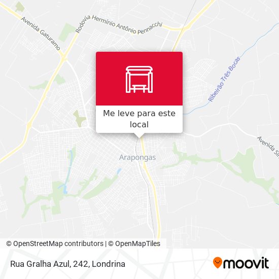 Rua Gralha Azul, 242 mapa