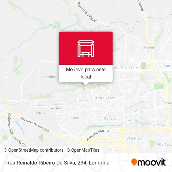 Rua Reinaldo Ribeiro Da Silva, 234 mapa