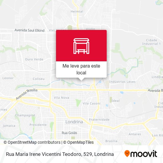 Rua Maria Irene Vicentini Teodoro, 529 mapa