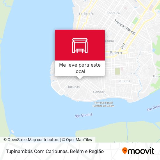 Tupinambás Com Caripunas mapa