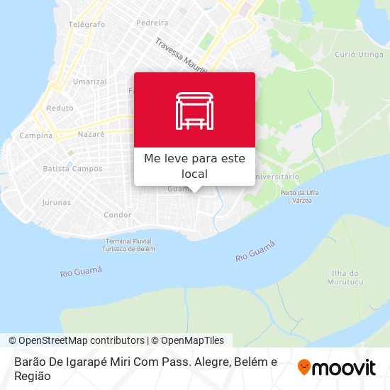 Barão De Igarapé Miri Com Pass. Alegre mapa