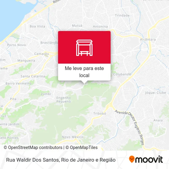 Rua Waldir Dos Santos mapa