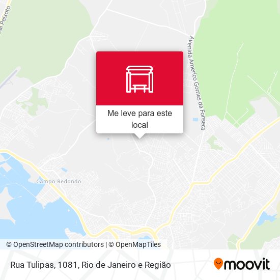 Rua Tulipas, 1081 mapa