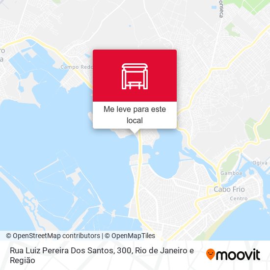 Rua Luiz Pereira Dos Santos, 300 mapa