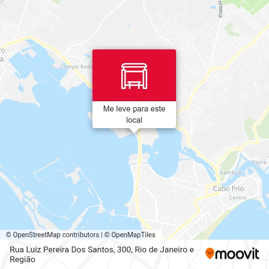 Rua Luiz Pereira Dos Santos, 300 mapa
