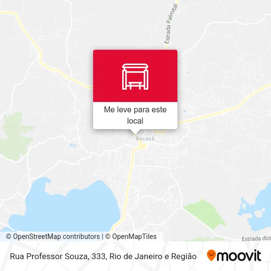 Rua Professor Souza, 333 mapa