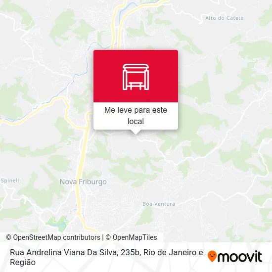 Rua Andrelina Viana Da Silva, 235b mapa