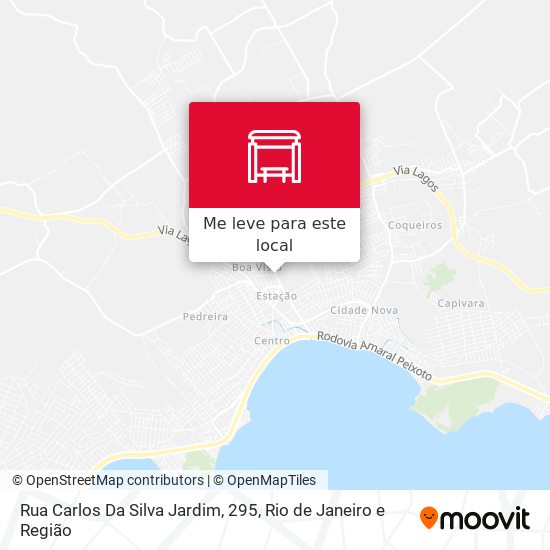 Rua Carlos Da Silva Jardim, 295 mapa
