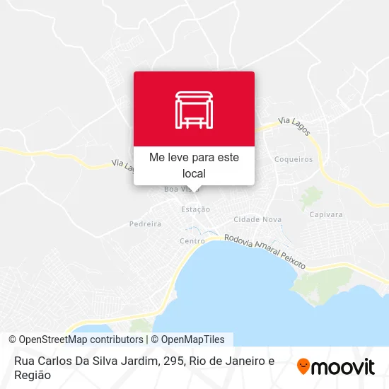 Rua Carlos Da Silva Jardim, 295 mapa