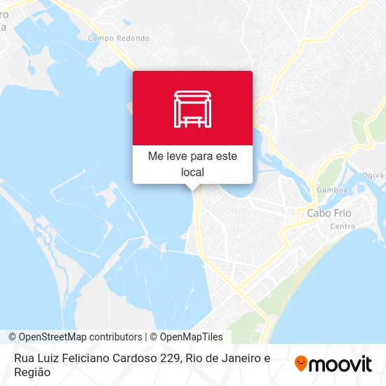 Rua Luiz Feliciano Cardoso 229 mapa