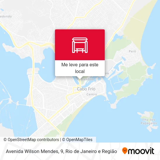 Avenida Wilson Mendes, 9 mapa