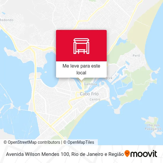 Avenida Wilson Mendes 100 mapa