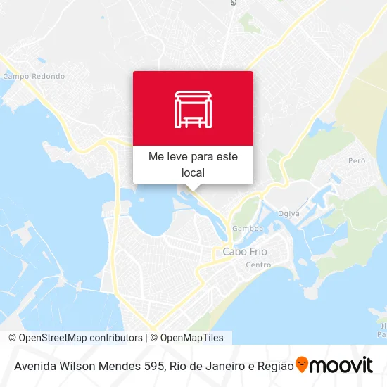 Avenida Wilson Mendes 595 mapa